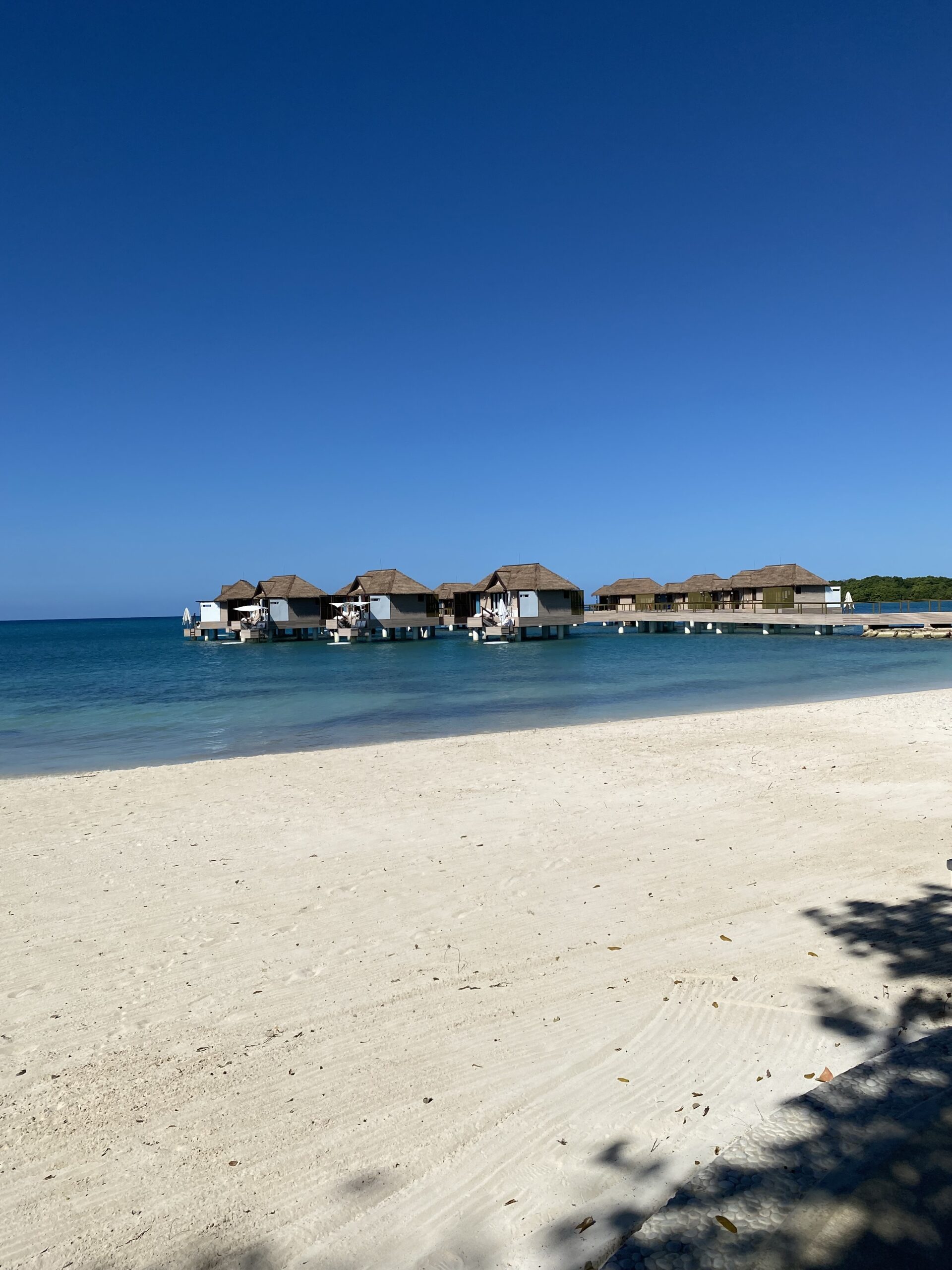 "Collection of breathtaking destinations and unforgettable travel experiences curated by The Destination Specialists for discerning travelers."