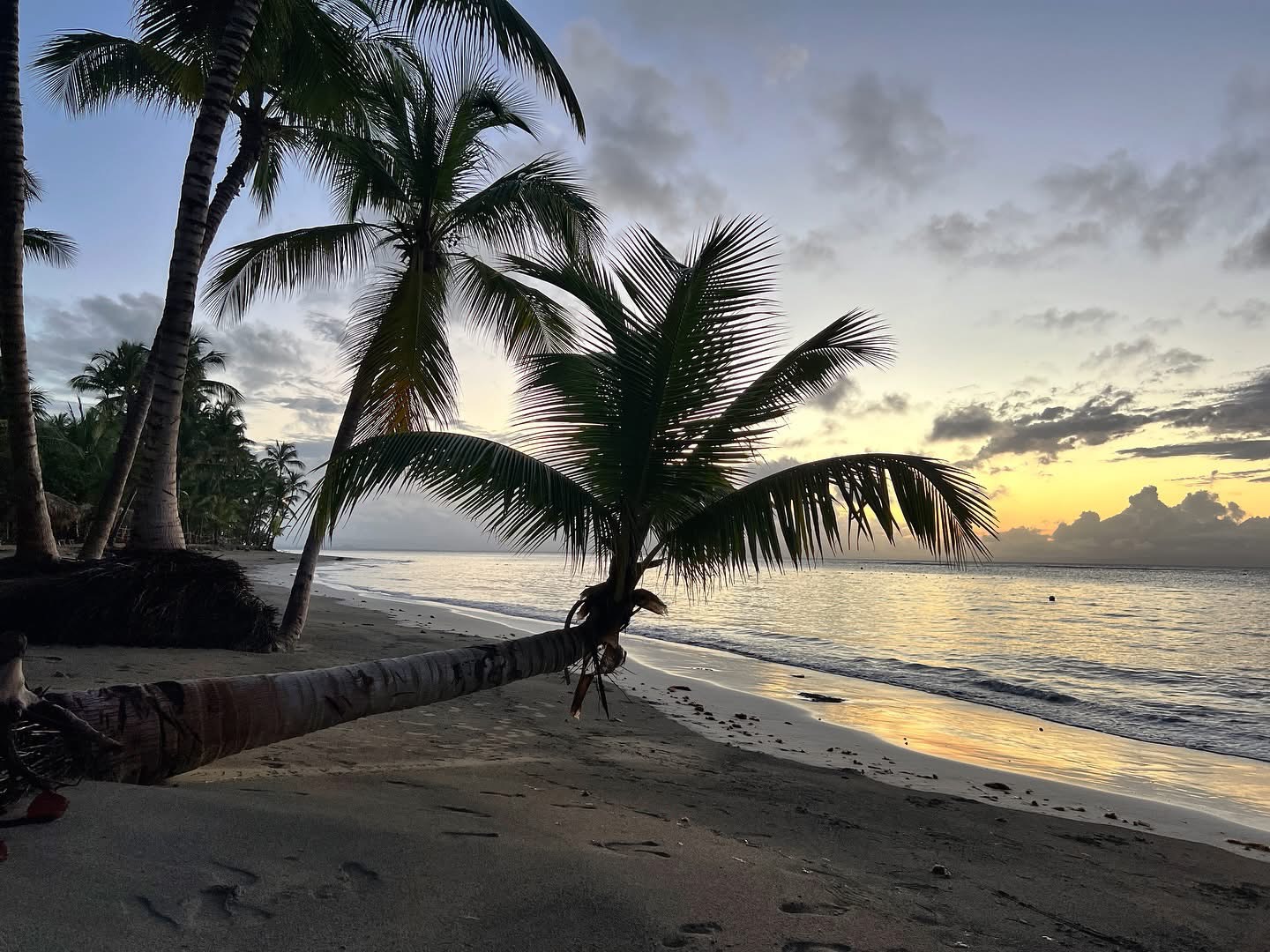 "Collection of breathtaking destinations and unforgettable travel experiences curated by The Destination Specialists for discerning travelers."